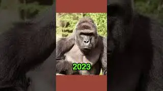 Viral Memes (then vs now) #shorts