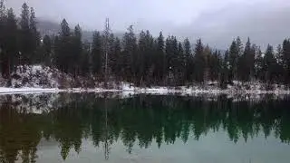 Wild (remade)