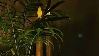 Zen Garden Relaxation Music for Focus, Sleep & Meditation