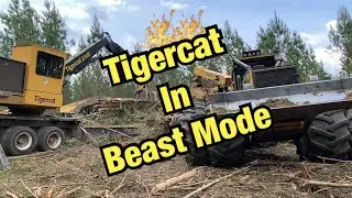 Tigercat 234B using a Chambers Delimbinator