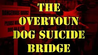 The Perplexing Overtoun Doggie Death Bridge