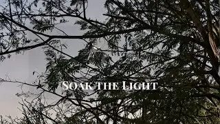 Soak the Light