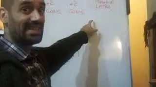 8 Zamba: forma