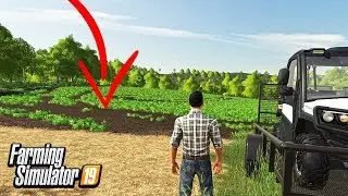 SEVERE CROP DAMAGE | COMPACTION PROBLEM | FARMING SIMULATOR 19