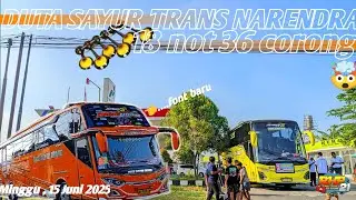 PECAH FULL BASURI 🤯 ⁉️ 📸 Hunting basuri  di pombensin kenteng tawangsari minggu  15 Juni 2025