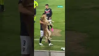 😭 Pitch invasion #shorts