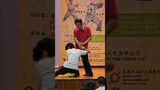 Chen Zheng Lei Qin Na (joint lock) 陈正雷 - 擒拿
