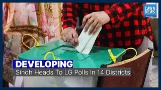 Developing News | Sindh Heads To LG Polls In 14 Districts | DawnNews English