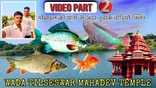 Wada tilase devmase darshan MAHADEV GOD FISH 🛕 wada tilase near