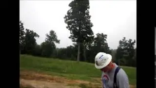 Tree Felling Height 2015 06 03