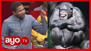 MBUNGE AIKATAA BINADAMU ALIANZA KUWA SOKWE“HIVI KWELI SOKWE ANABADILIKA KUWA BINADAMU MBONA HATUONI