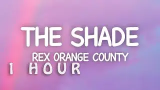 [1 HOUR 🕐 ] Rex Orange County - The Shade (Lyrics)