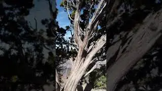 What a vortex looks like..