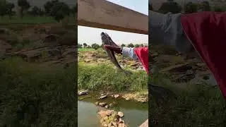 Karamar Shehu. #shehuntiktok #comedy #bestcomedyskit #funny