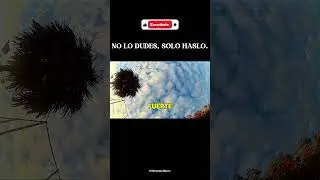 GUARDA este v&iacute;deo... #solo #frases #amor #sad