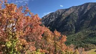 Buffalo Peak Trail