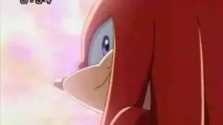 A Tribute To Knuckles