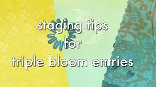 staging tips for triple bloom dahlia exhibits