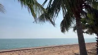 Ocean waves, relax to the natural sounds of the sea