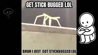 𝐆𝐄𝐓 𝐒𝐓𝐈𝐂𝐊 𝐁𝐔𝐆𝐆𝐄𝐃 𝐋𝐎𝐋