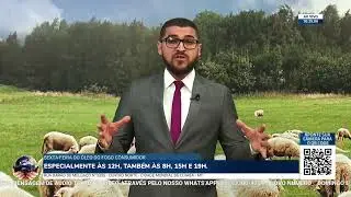 AO VIVO IMPD