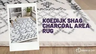 Koedijk Shag Charcoal Area Rug