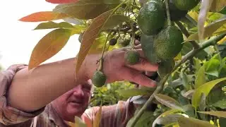 Local farmers raise concern over farmland rezoning to make way for housing