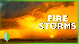 FIRESTORMS 🌩️🔥 | The most dangerous fire phenomenon