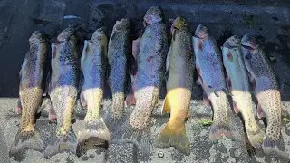Epic Trout Fishing Using The Fly Rod - Whitewater Elba MN