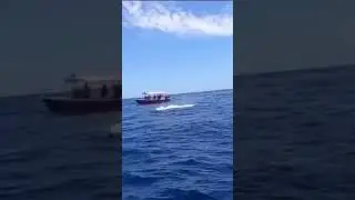 best'fishing#shot #hunting #shot #fish##video