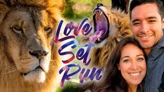 Love Set Run | Volunteering at a TRUE lion sanctuary (Drakenstein) in South Africa [Part 1 of 2]