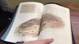 Allan ESV NC2 Bible