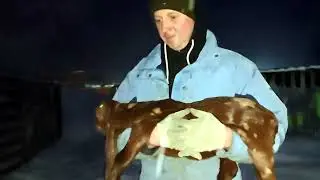 СЕГОДНЯ МНОГО НОВОСТЕЙ