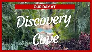 Tropical Paradise Found! Our Amazing Day at Discovery Cove!