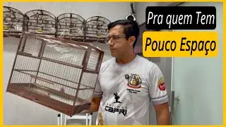 Gaiola Reduzida Para Criar Coleiro Papa-Capim 🐦 | Ideal Pra Quem Tem Pouco Espaço