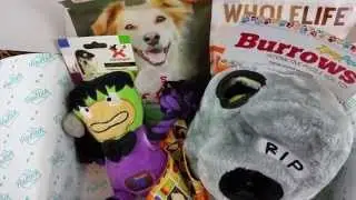 PawPack Small Dog October 2015 Unboxing + Coupon!