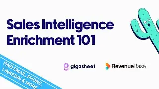 B2B Sales Intelligence Enrichment: Find Email, Cell Phone, LinkedIn Data & More