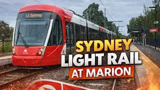 Sydney Light Rail Spotting at Marion | Urbos 3, Urbos 100 & Citadis X05