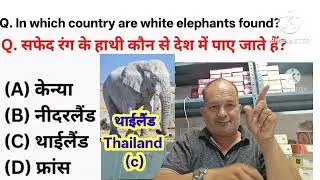 Which country are white elephant found?