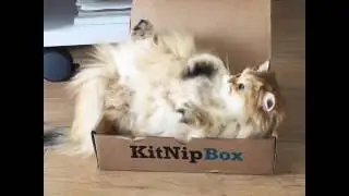 When you're trying to sleep but it's too bloody hot