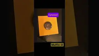 Md button 4 purchase! #murdedrones #cynessa #uzidoorman #buttonmaker #edit #dontflop #fypシ゚ #meme