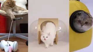 Amazing Pet Toys Gadgets | Gadgets for cats | amazing toys for cats