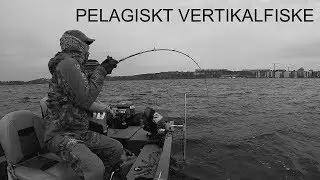 Pelagiskt prickskytte efter gös (1080 p HD)