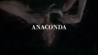LB6 - Anaconda