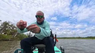 BlueSky Boatworks 360 angler kayak Dolphin tried to scare off all the fish