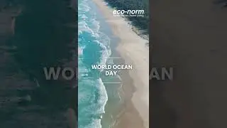 World Ocean Day