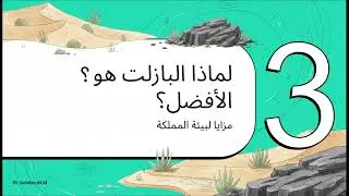 الدرع البازلتي  ابتكار سعودي، رؤية ٢٠٣٠