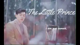 [Deng Lun Fan Edit] 邓伦饭制视频|白噪音系列|小王子|The Little Prince |Please, tame me