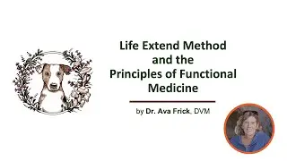 Functional Medicine for Pets with Dr  Ava Frick