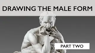 Drawing The Male Form Part II